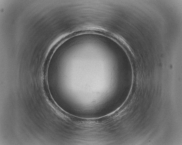 X0000085801024200703161144