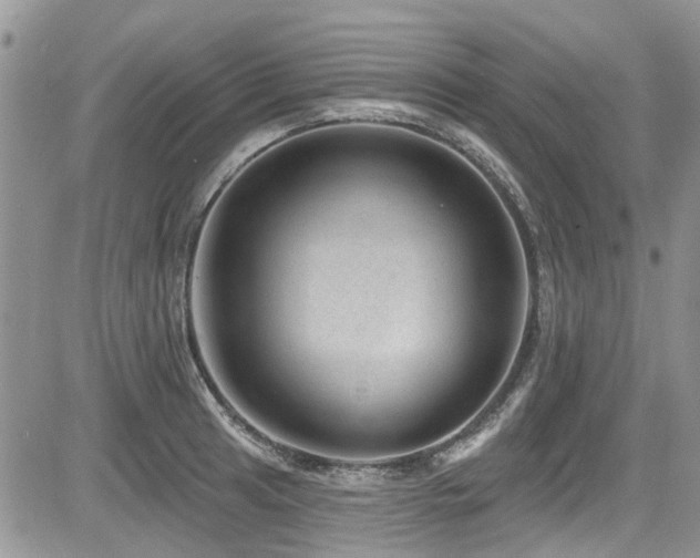 X0000085801041200703161145