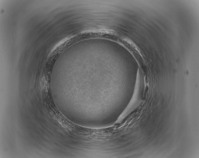 X0000085801064200703161144
