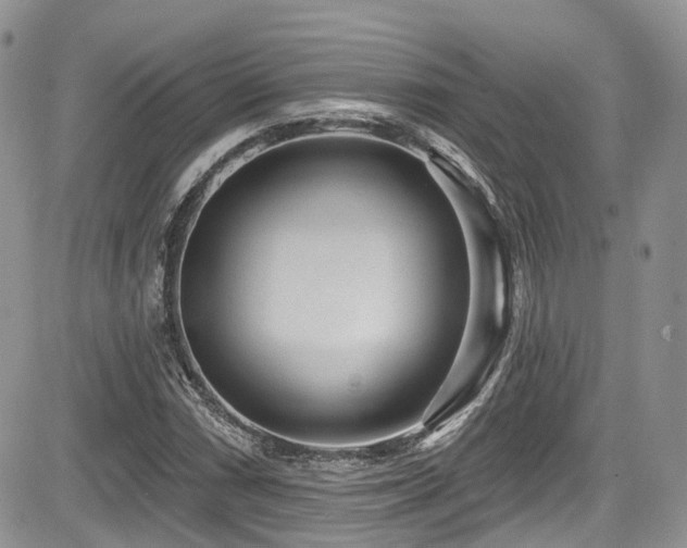 X0000085801066200703161144
