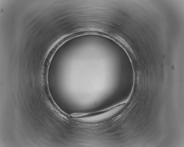 X0000085801068200703161144