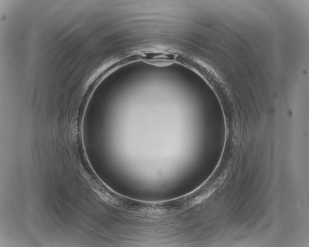 X0000085801073200703161144