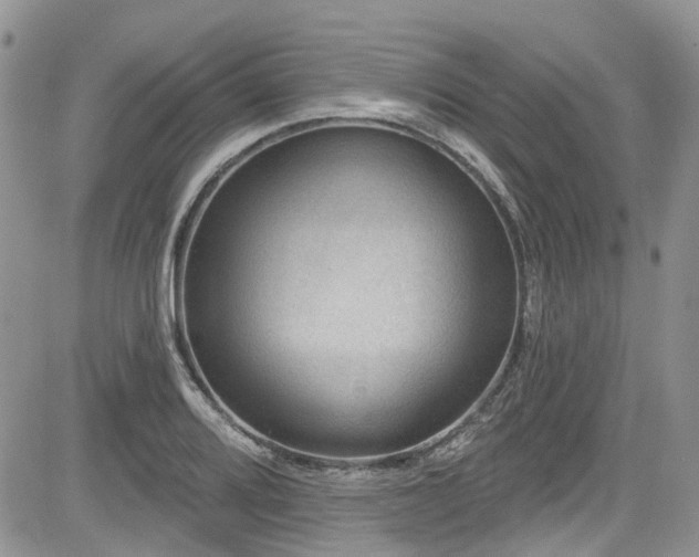 X0000085801080200703161144