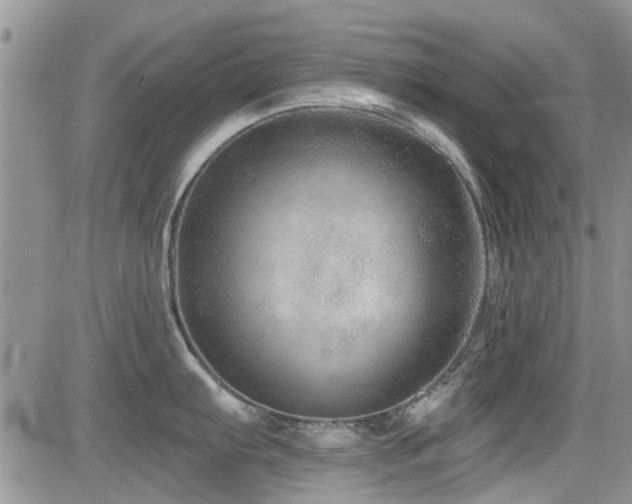 X0000085801103200703161143