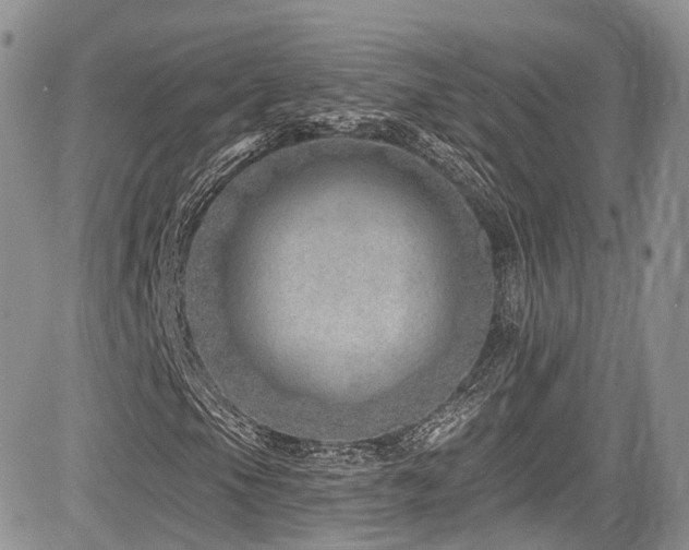 X0000085801105200703161143