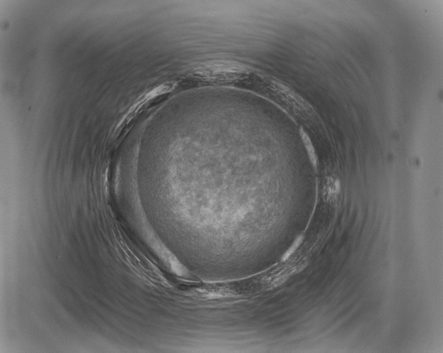 X0000085801108200703161143