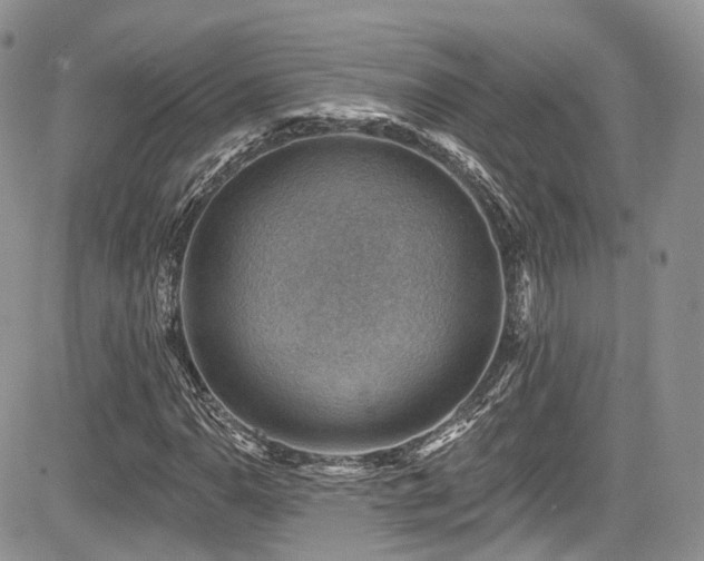 X0000085801110200703161143