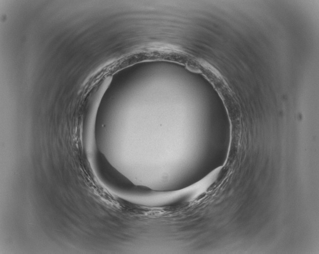X0000085801112200703161143
