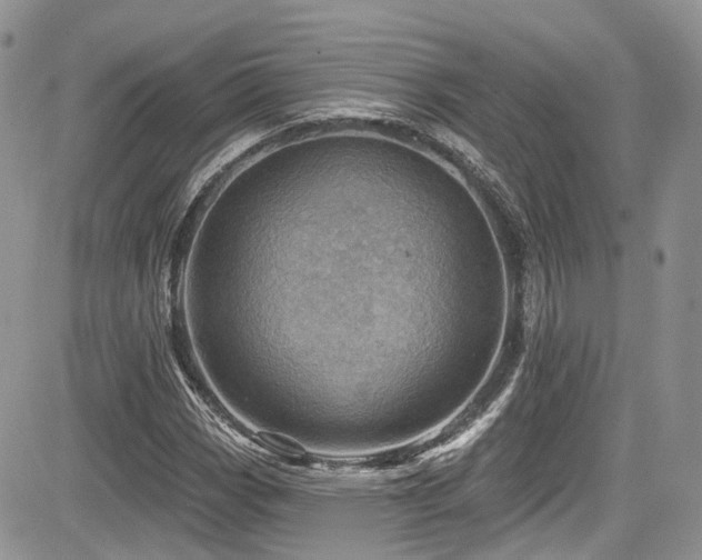 X0000085801113200703161143