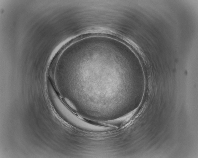 X0000085801120200703161143
