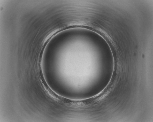 X0000085801129200703161143