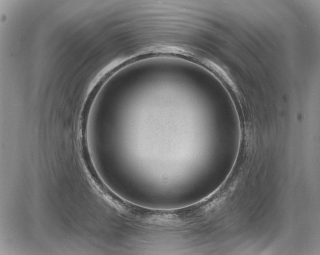 X0000085801133200703161143