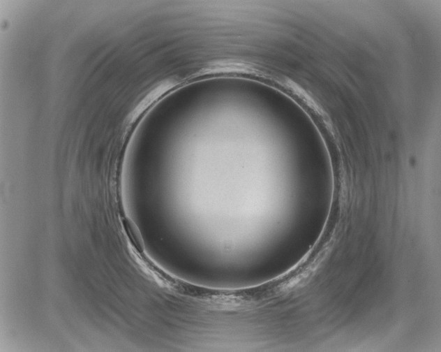 X0000085801137200703161143