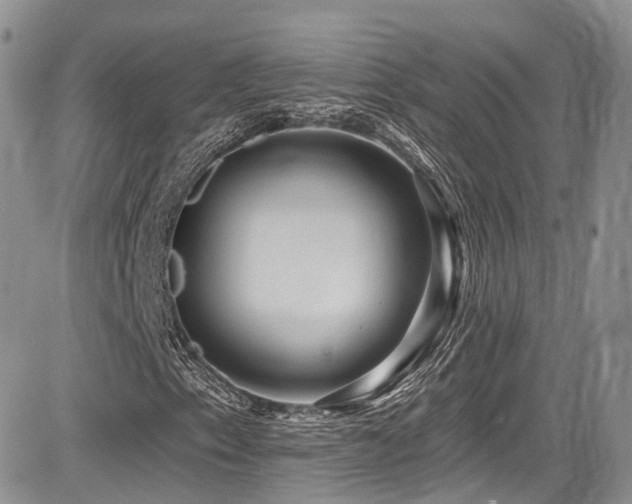 X0000085801153200703161143