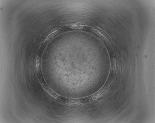 X0000085801154200703161143