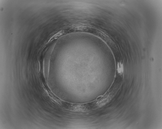 X0000085801155200703161143