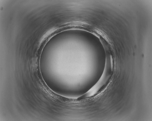 X0000085801164200703161142
