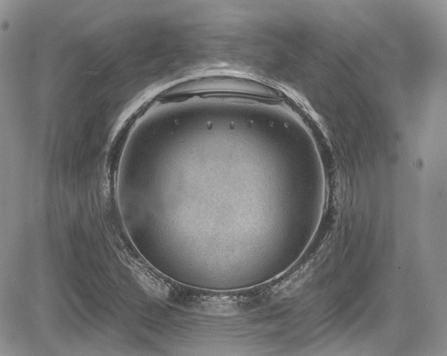X0000085801167200703161142