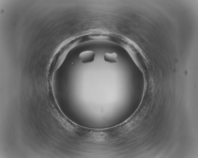 X0000085801168200703161142