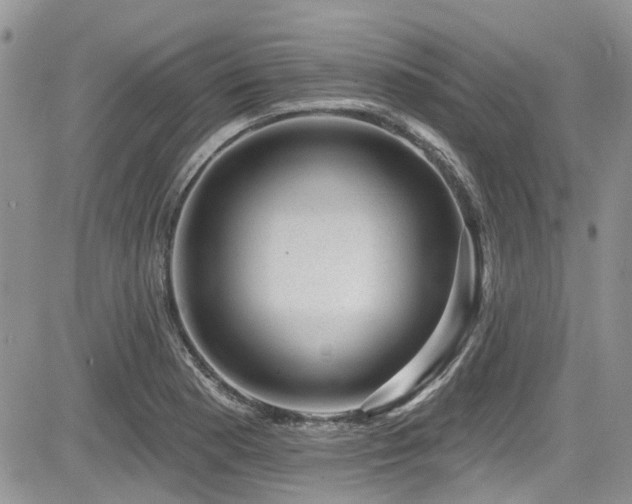 X0000085801177200703161142