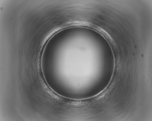 X0000085801182200703161142