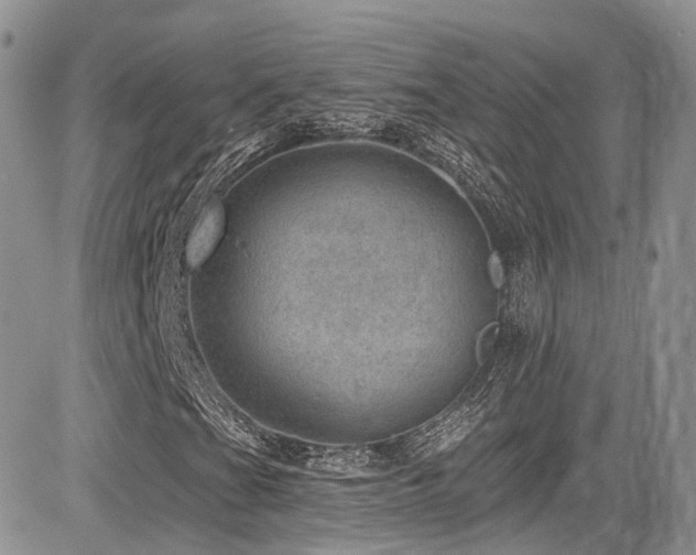 X0000085801201200703161141