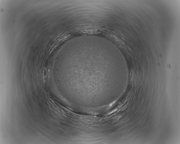 X0000085801202200703161141