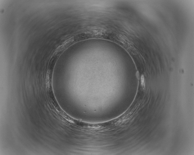X0000085801203200703161141