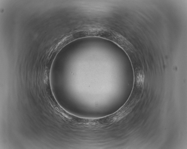 X0000085801204200703161141