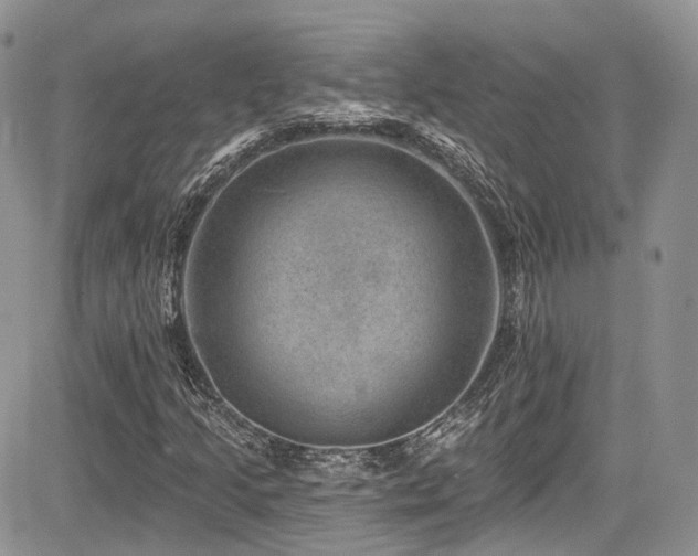 X0000085801205200703161141