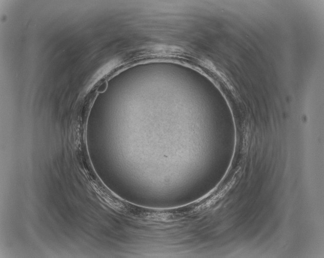 X0000085801211200703161141
