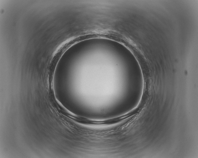 X0000085801214200703161141