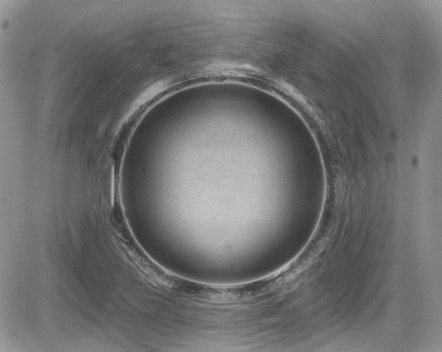 X0000085801219200703161141