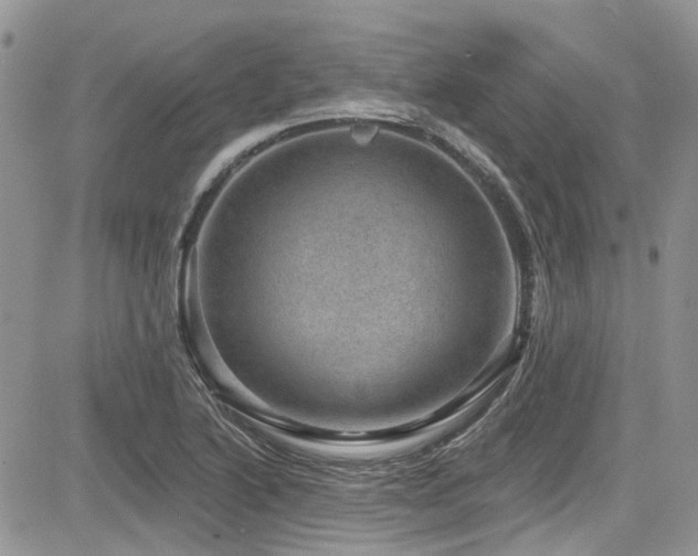 X0000085801222200703161141