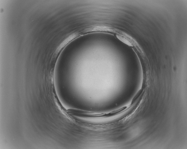 X0000085801241200703161142