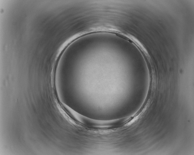 X0000085801246200703161142