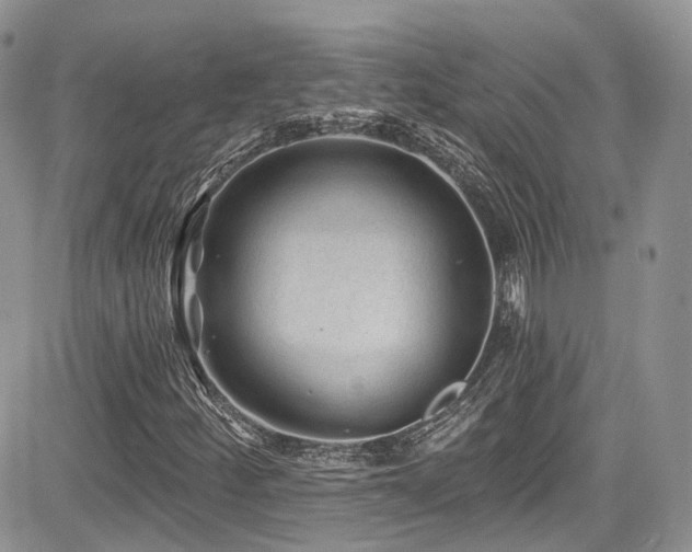 X0000085801252200703161141