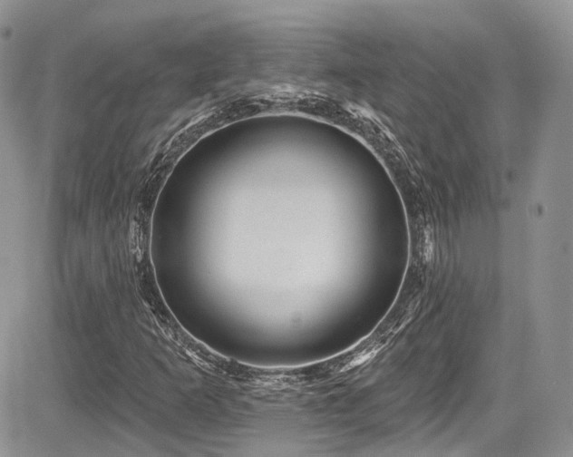 X0000085801253200703161141