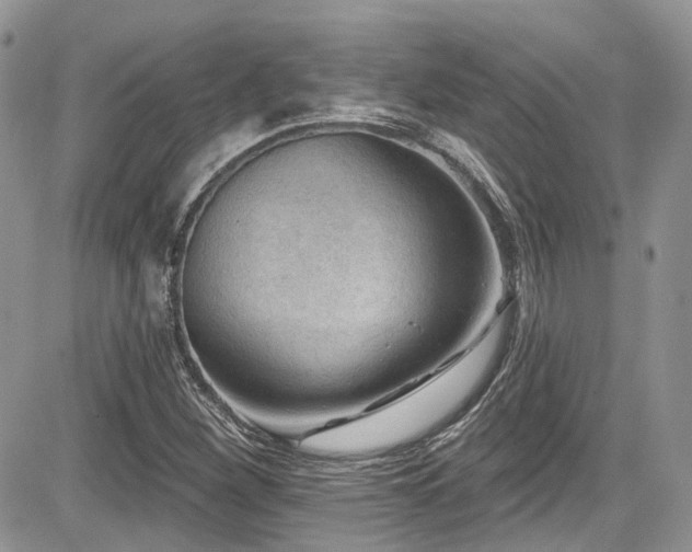 X0000085801260200703161141