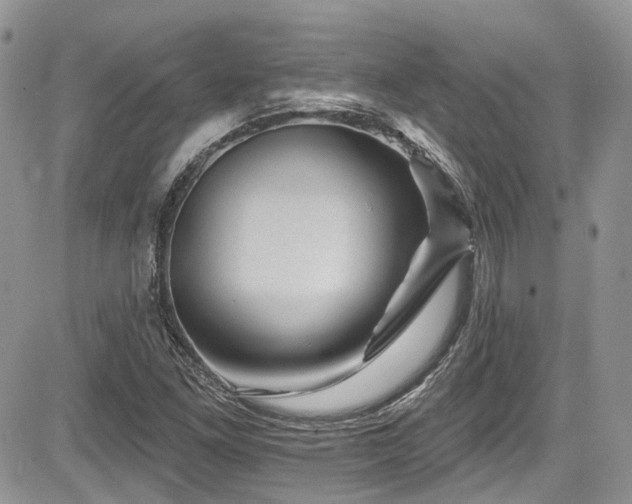 X0000085801261200703161141