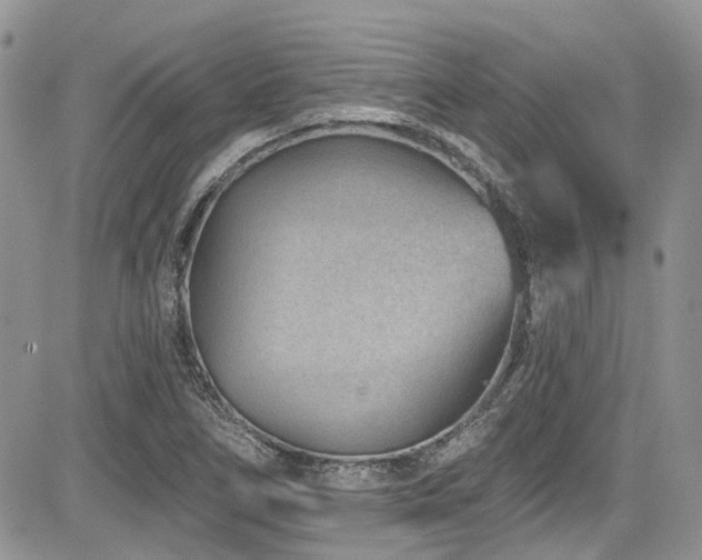 X0000085801266200703161141