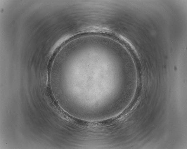 X0000085801267200703161141