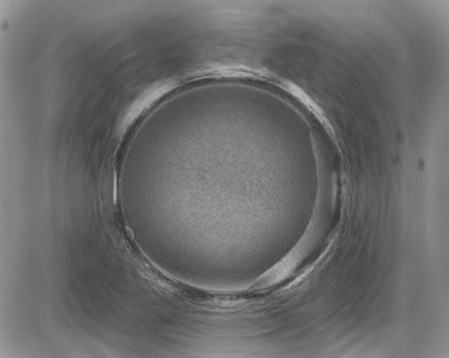 X0000085801269200703161141