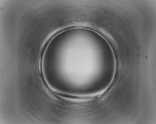 X0000085801272200703161141