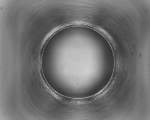 X0000085801286200703161140
