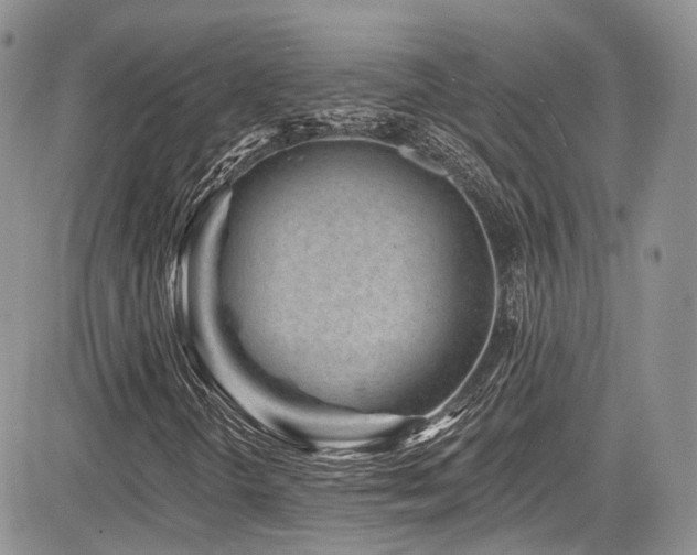 X0000085801298200703161139