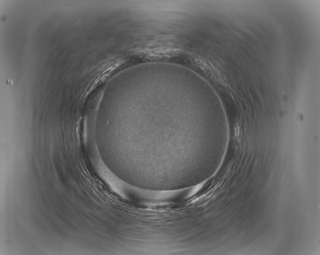 X0000085801300200703161139