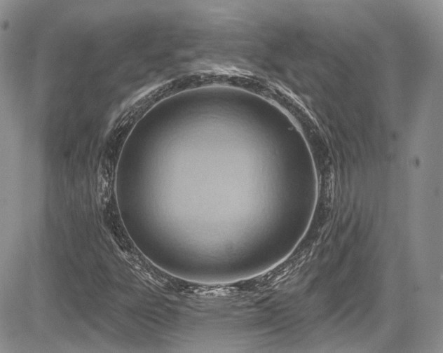 X0000085801303200703161139