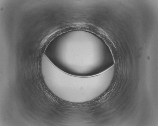 X0000085801304200703161139