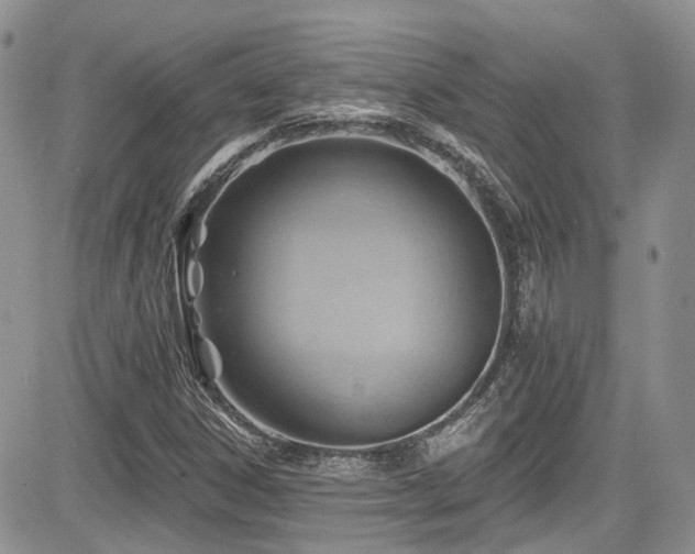 X0000085801306200703161139
